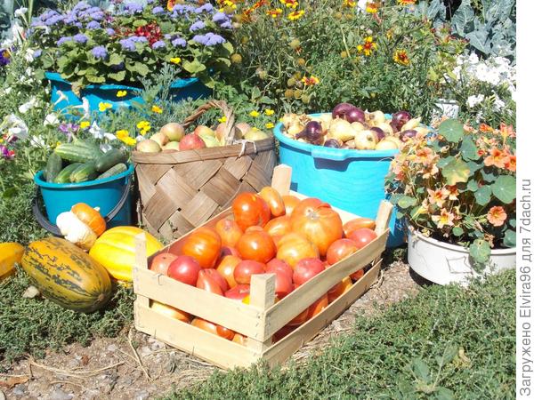 Результаты наших трудов