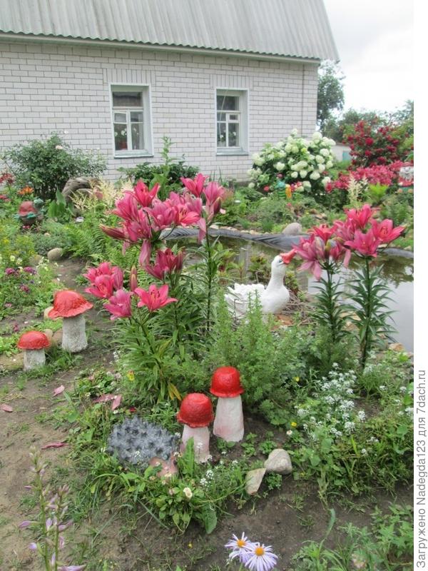 Волшебная страна.