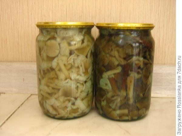 Маринованные опята.
