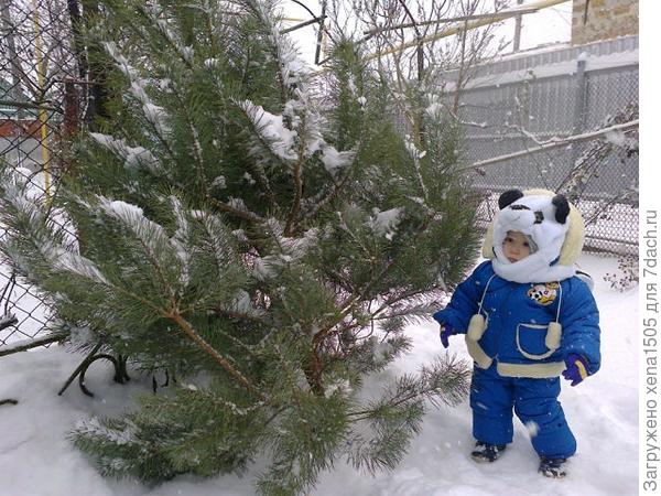 Наше приобретение