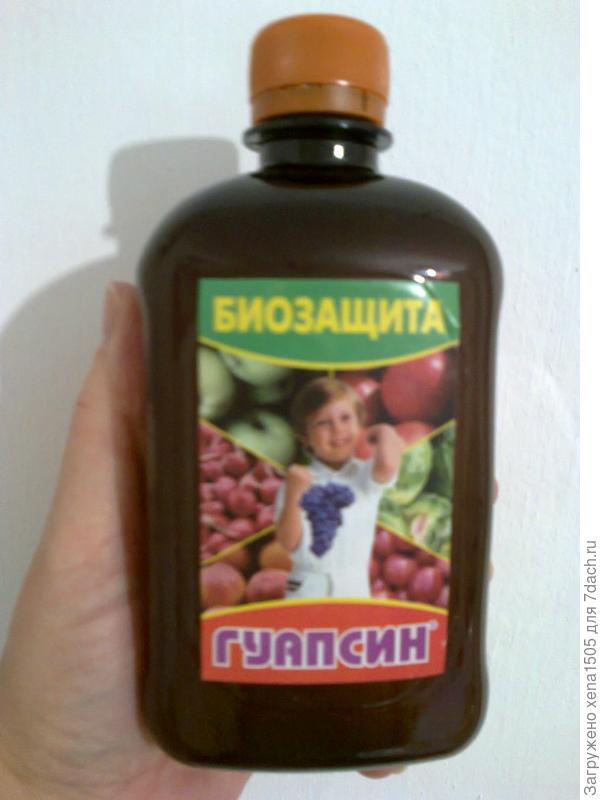 Гаупсин