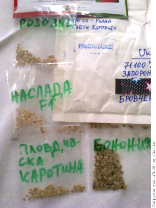 семена