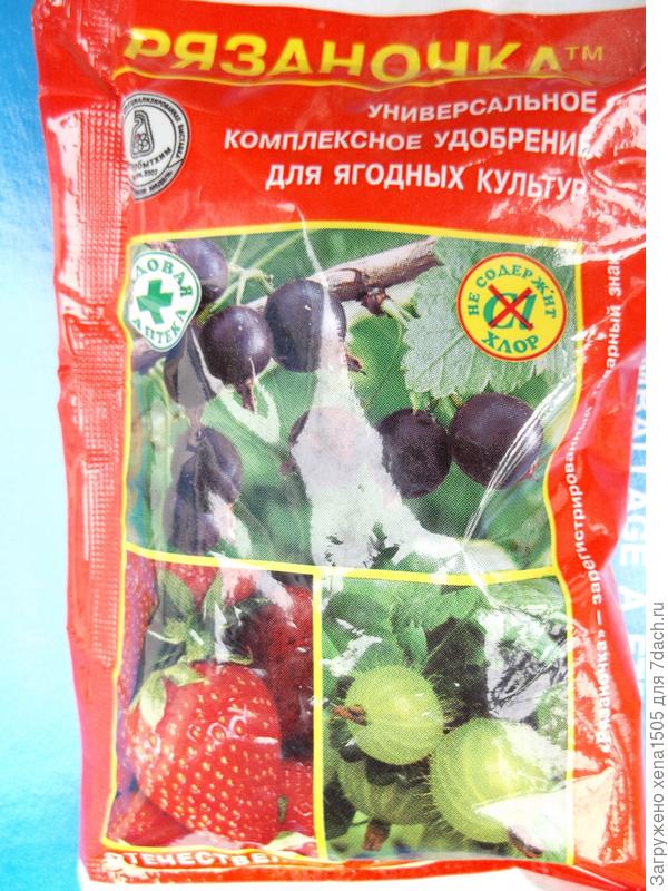 Рязаночка