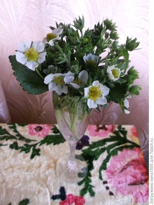 букет земляники