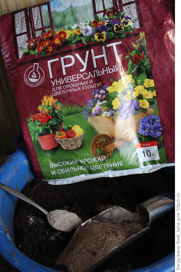 Грунт