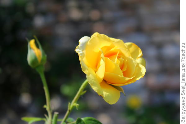 И моя любимая...