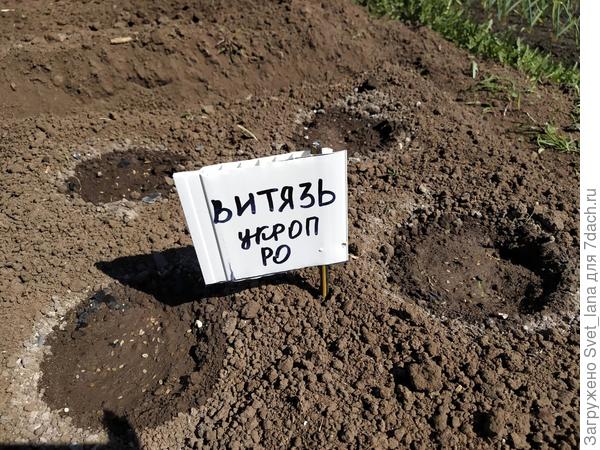 09.05.2020 г.