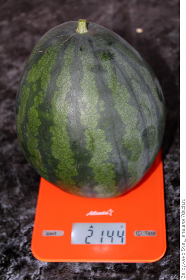 05.09.2020 г.