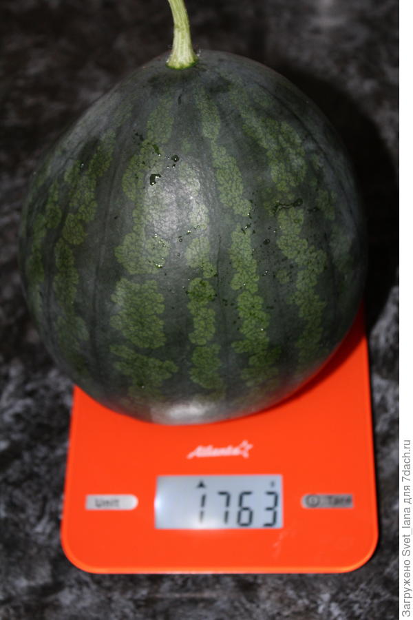 09.09.2020 г.