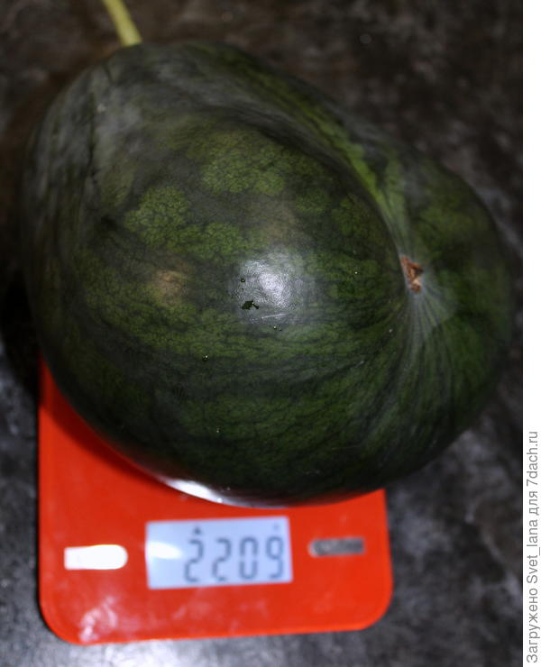 03.09.2020 г.