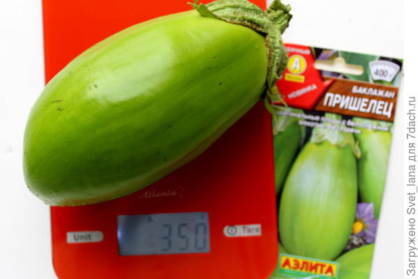 Первый сбор урожая 27.06.2021 г