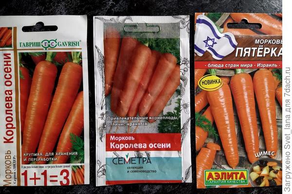 Королева осени от Гавриш была в прошлом году, в этом году от Поиска