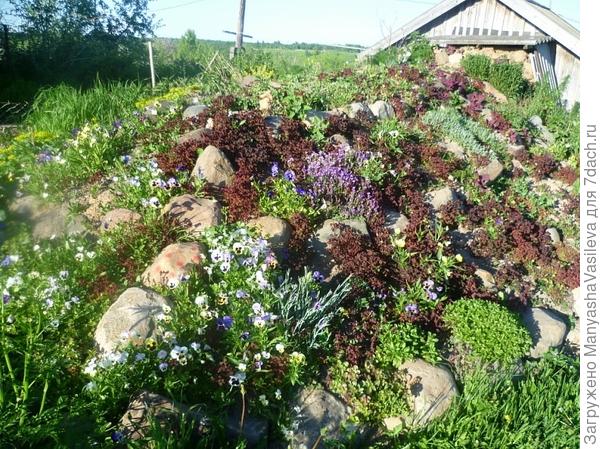 Дачный сезон- это маленькая жизнь с большими победами!!!