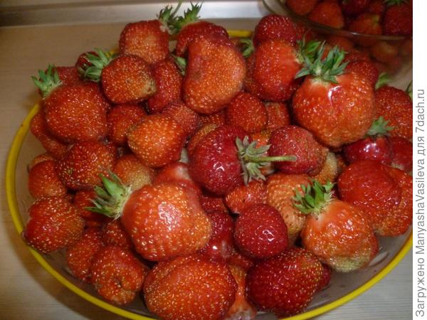 Дачный сезон- это маленькая жизнь с большими победами!!!