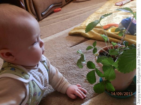 моя дача-мой балкон!!!