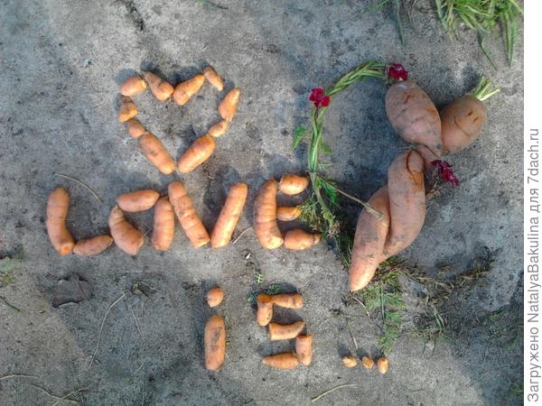 Знакомства В Витебске Любовь Морковь