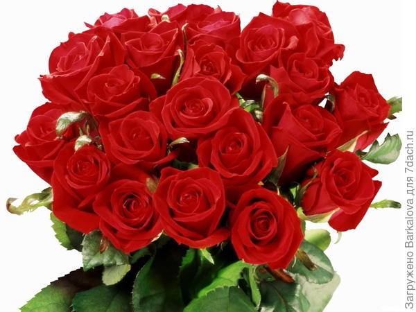 С Днем рождения!!!