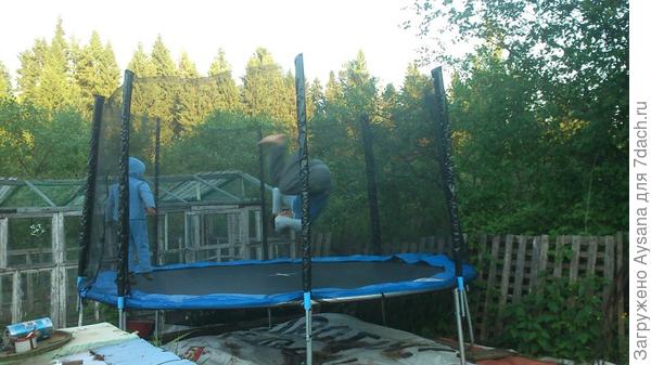 любимое место провождения моих мужчин