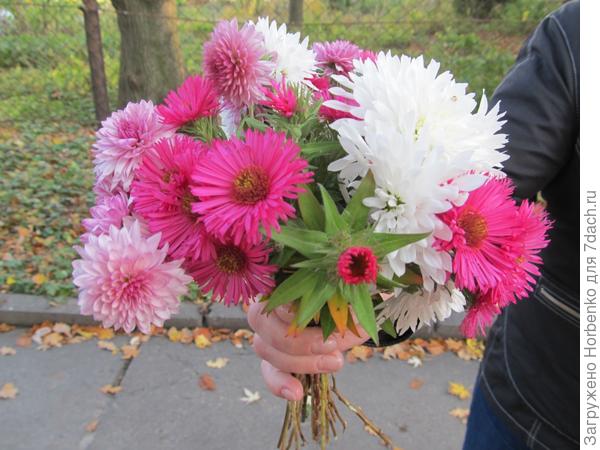 Осенний парк Львова