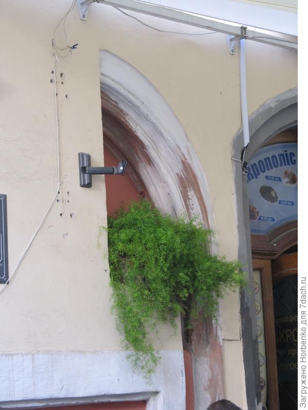 Осенний Львов