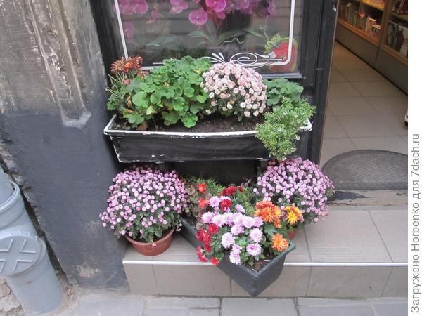 Осенний Львов