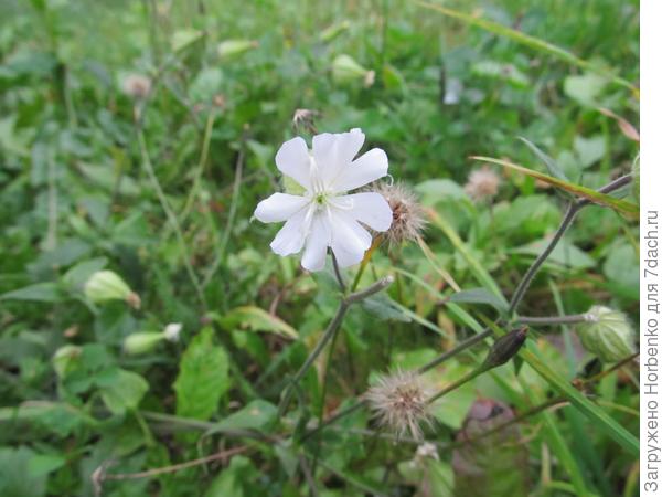 Природа сошла с ума?