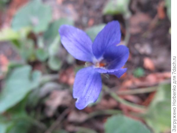 Природа сошла с ума?