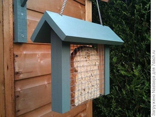 Необычная кормушка