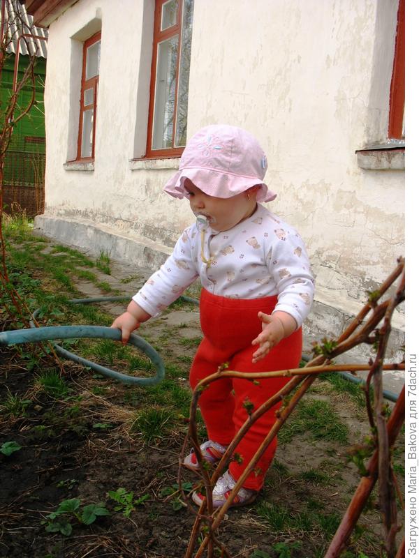 Ксюша поливает малину