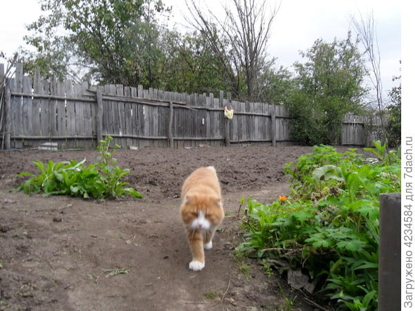 обход владений