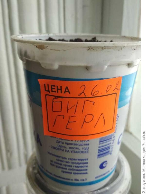 стакан
