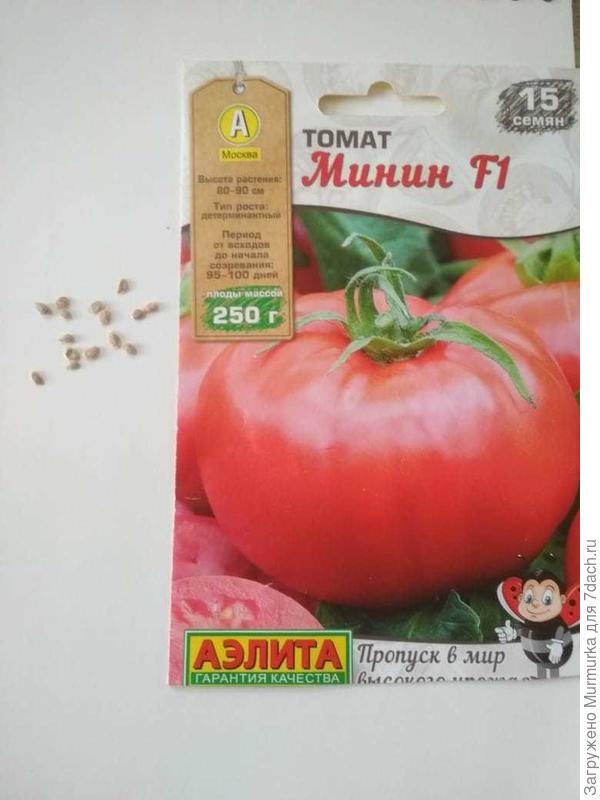 семена