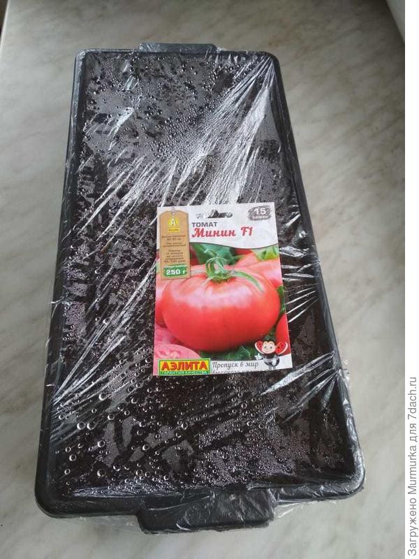 минин