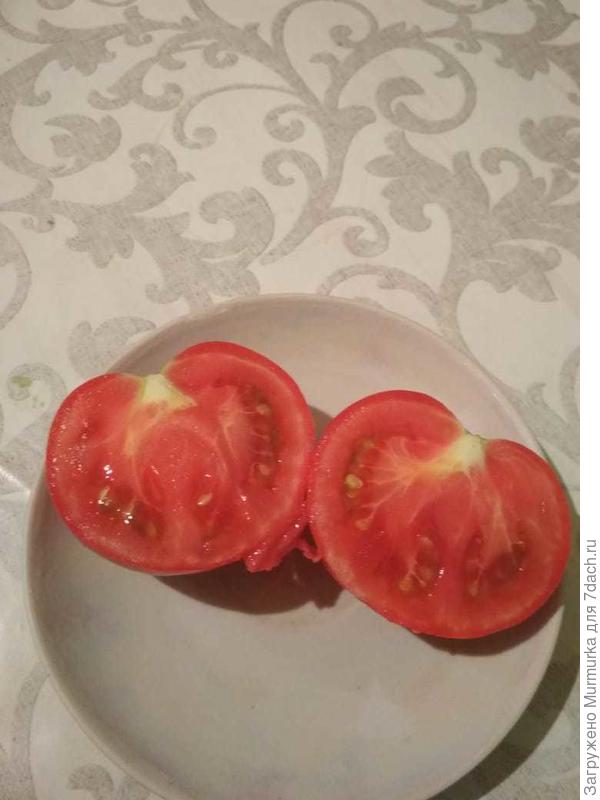 разрез