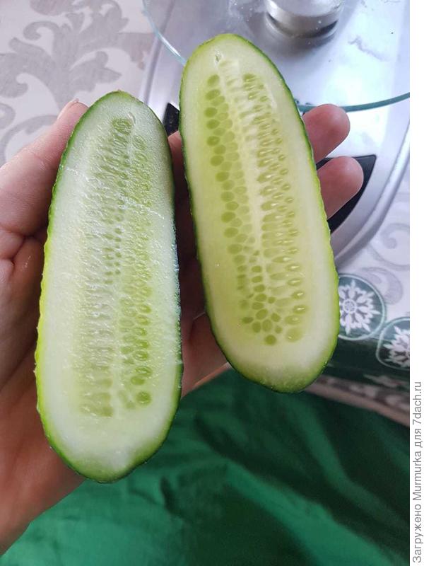 разрез