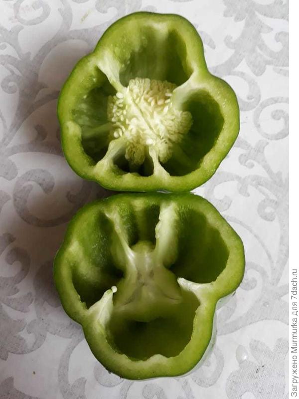 плод