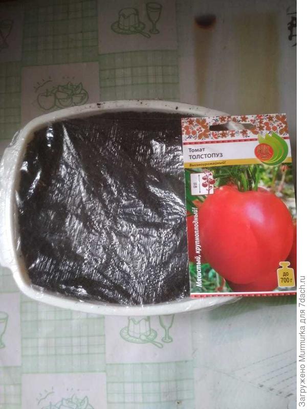 посадка
