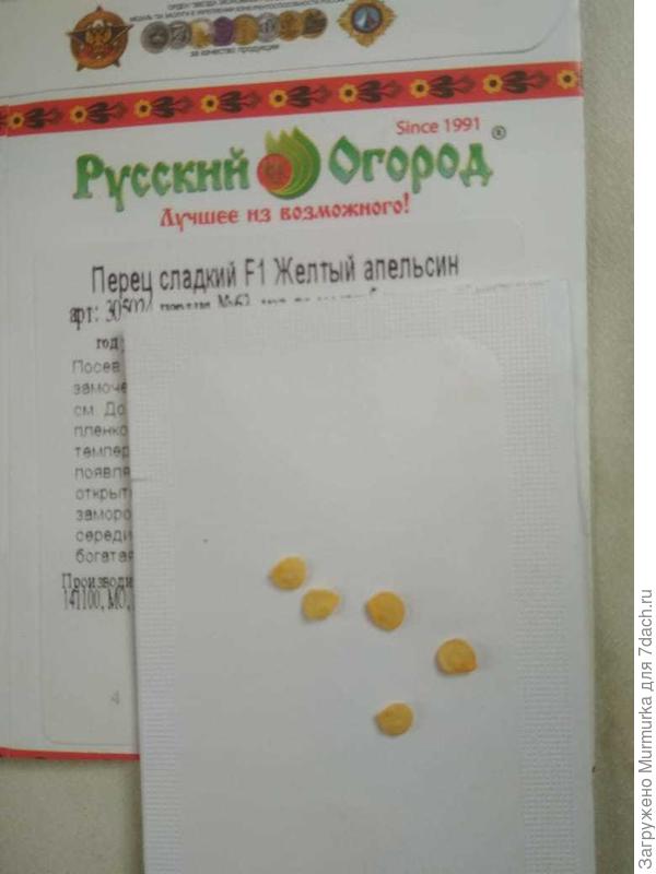 семена