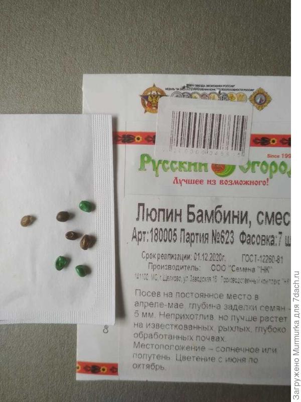 семена