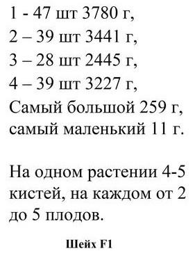 итоги