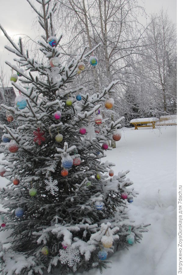 Новогодняя елка на даче.