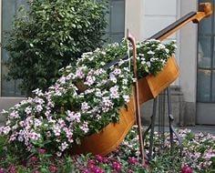 Клумба в контрабасе.