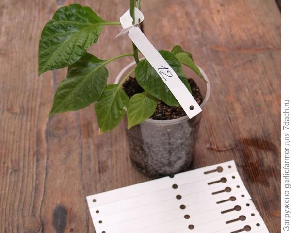 Маркировка