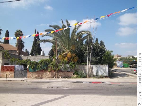 Финик в Лидде