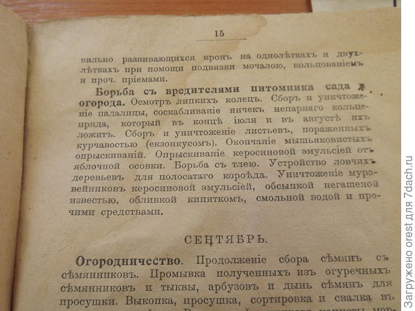 август защита