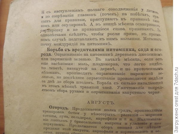 июль защита