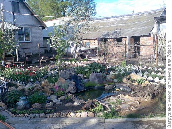 Цветник в зародыше.