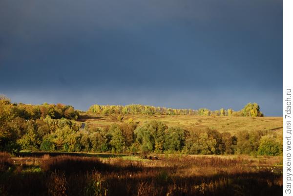 Вид на поле Россия