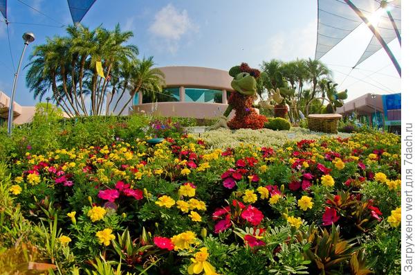 Epcot International Flower & Garden Festival 2014