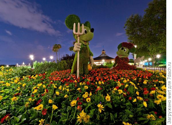 Epcot International Flower & Garden Festival 2014